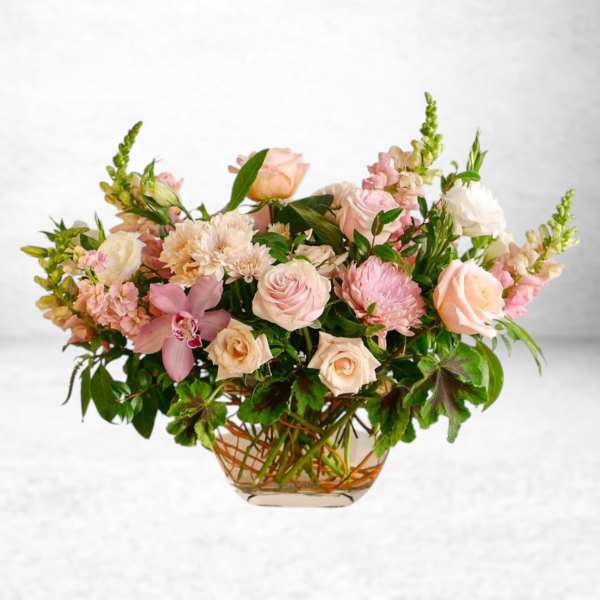 Blush Haven