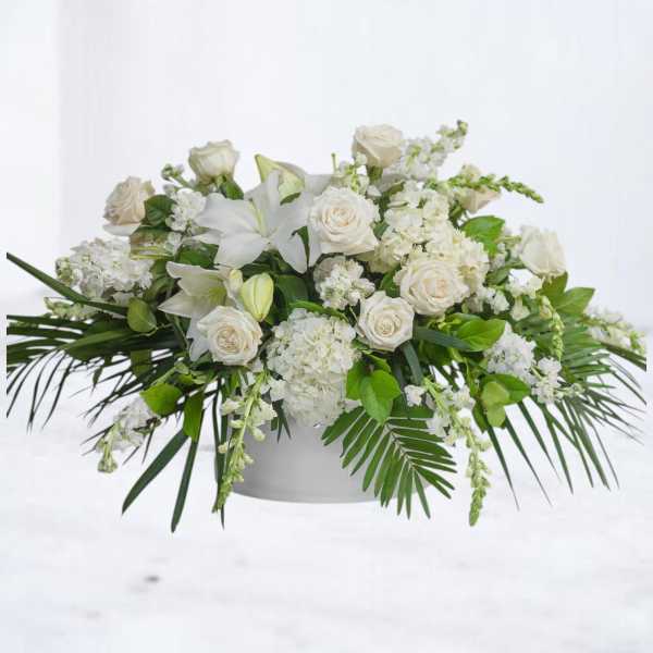 White Lotus