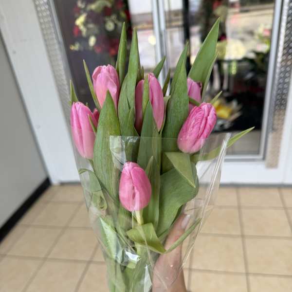 Bouquet of pink tulips wrapped in clear plastic
