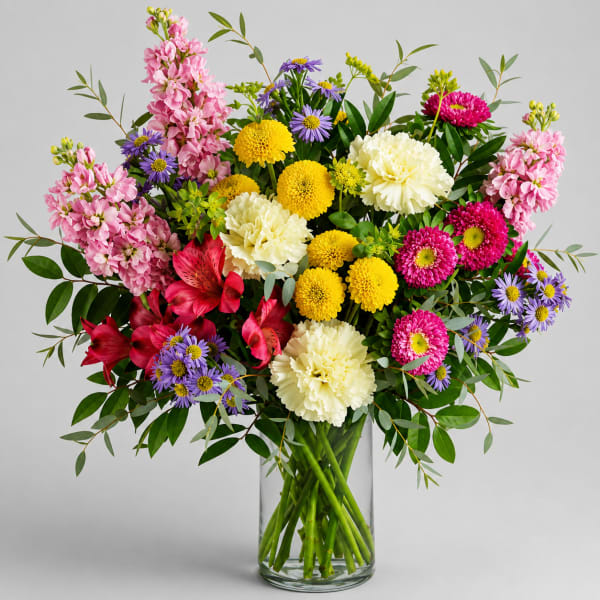 Nature's Beauty