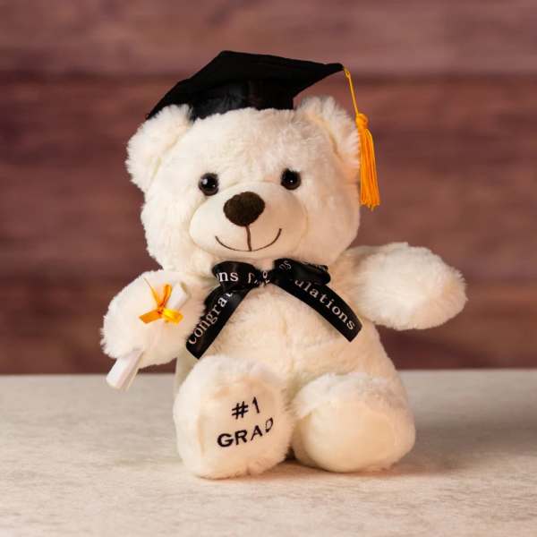 White graduation teddy bear with cap, diploma, and ribbon sitting on a neutral surface