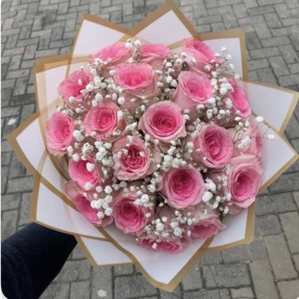 Nova Buchón