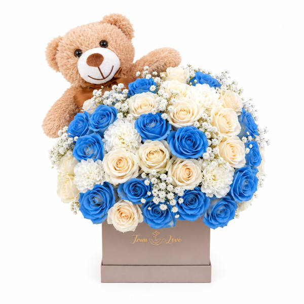 Baby Blue with Teddy Bear
