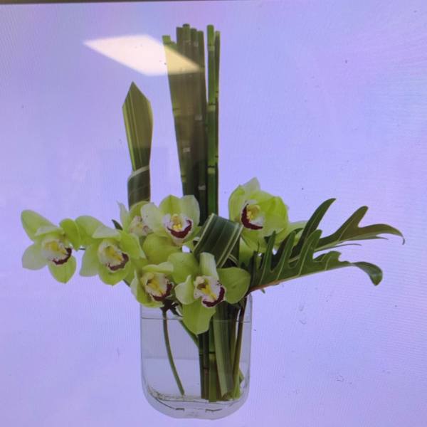 Green orchids arranged in a clear glass vase with tall leaves