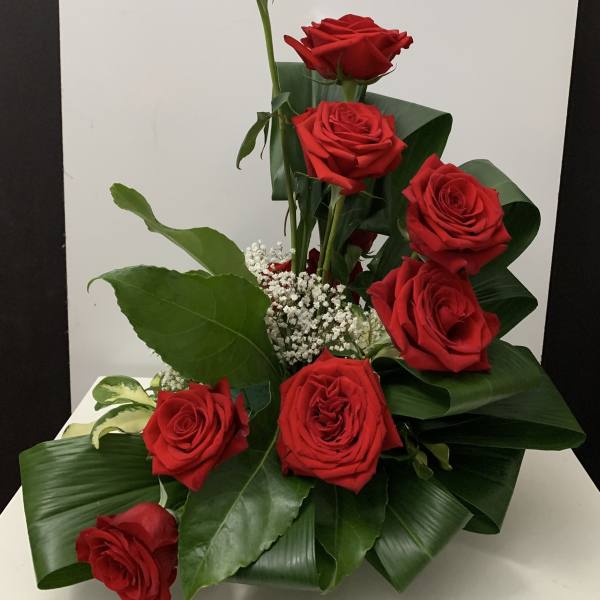 Arrangement of red roses with white filler flowers and broad green leaves