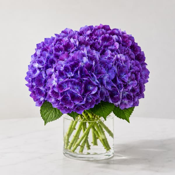 David’s Magical Purple Hydrangea Arrangement