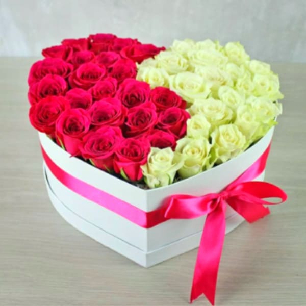 The Pink & White Harmony Heart