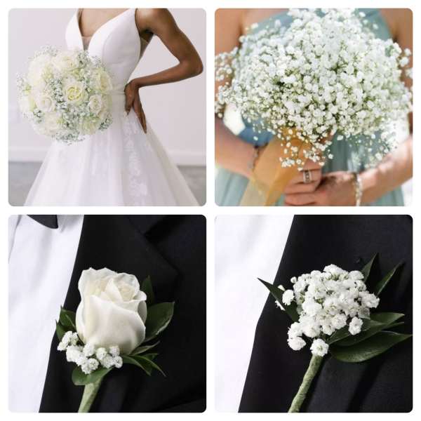 Wedding bouquet of white roses and baby's breath, plus white boutonnieres