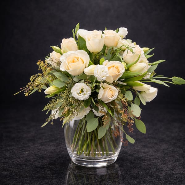 Cream Elegance