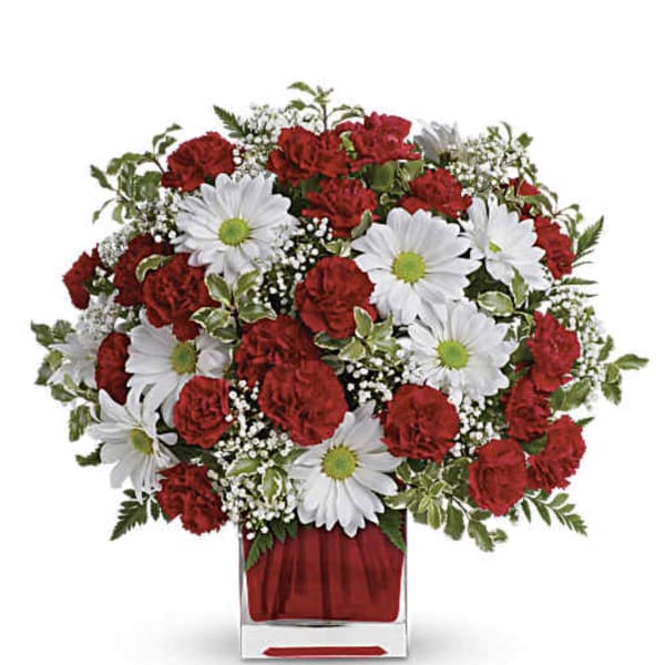 Oh My Daisy