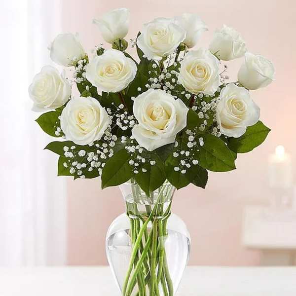 White roses arranged in a clear glass vase with baby's breath.
