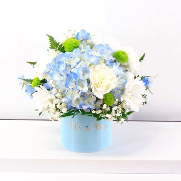 It's a Boy
