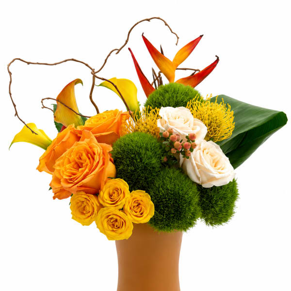 Golden Canopy (V Signature™)
