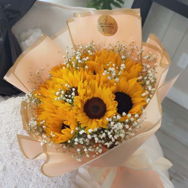 Shine sunflower