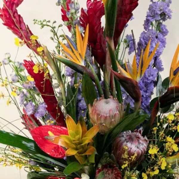 Designer's Choice Tall Tropical
