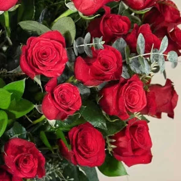 Designer's Choice Romance Tall