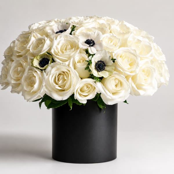 The Signature- Panda
