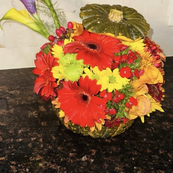Pumpkin Autumn Holiday