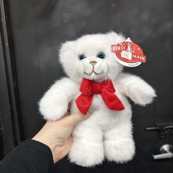 White teddy bear with a red bow being held in one hand