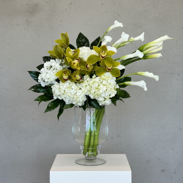 Modern Serenity
