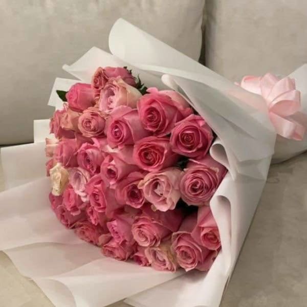 Pink Roses