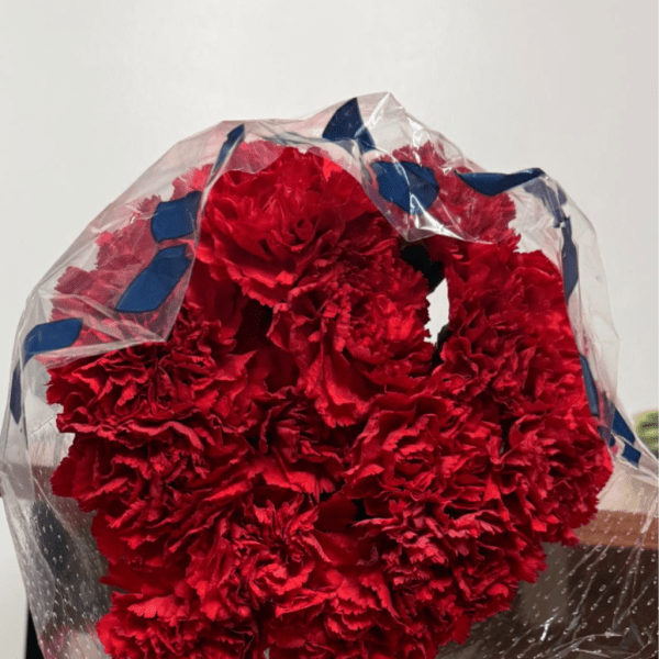 Bouquet of red carnations wrapped in clear plastic with blue ribbon
