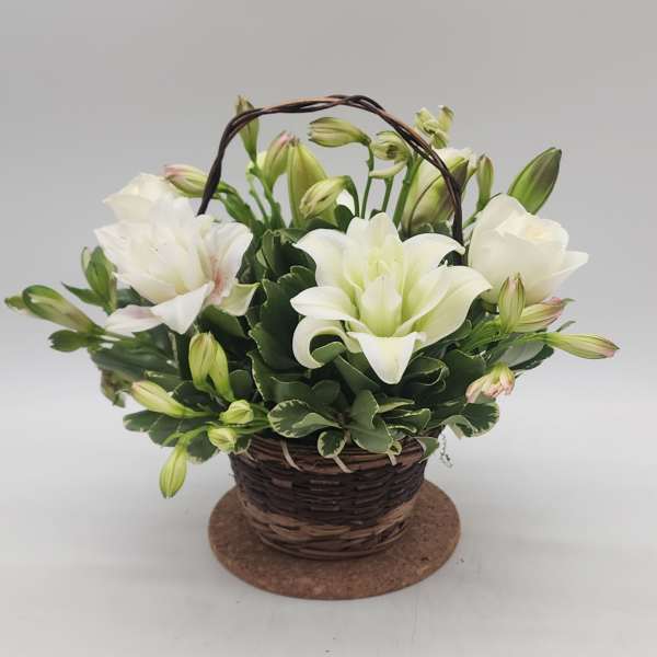 Eternal Affection