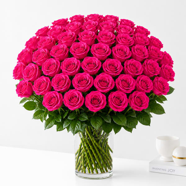 48 Hot Pink Roses