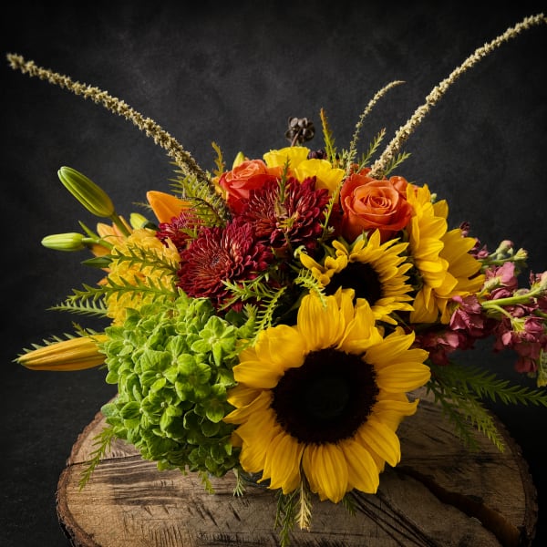 Sunshine On My Shoulders