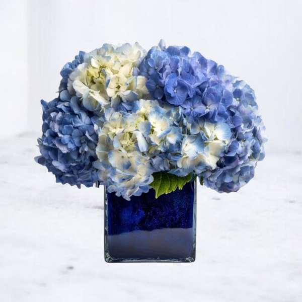 Nebula Sky