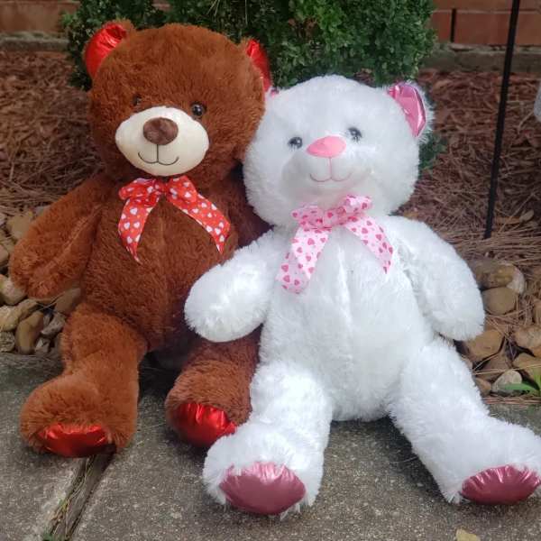 Two plush teddy bears sitting side by side, one brown and one white with heart-patterned bows.
