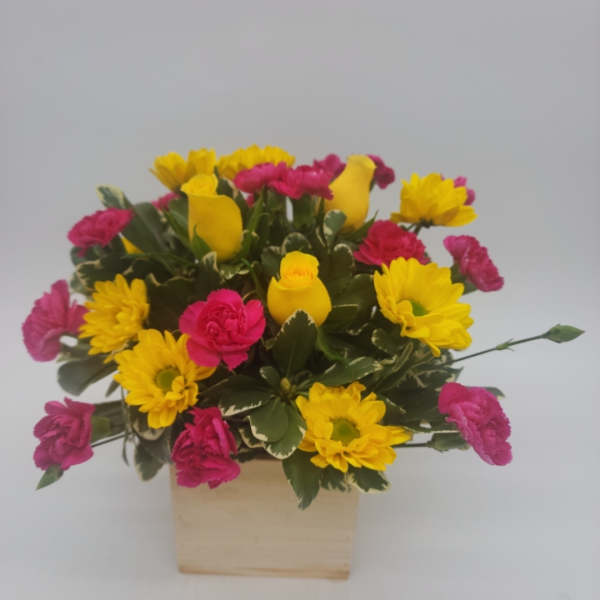 Hope and Joy