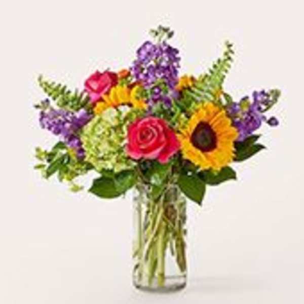 Vibrant Greetings