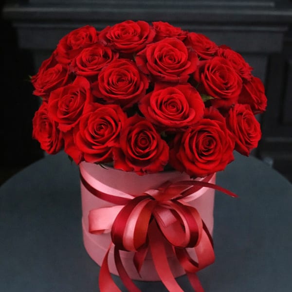 Celeste in Red