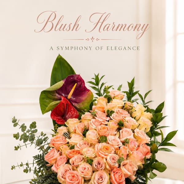 Blush Harmony