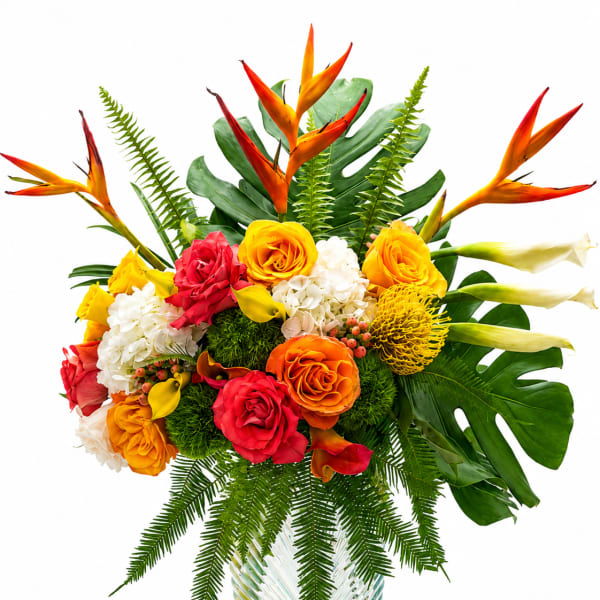 Sunset Escape (V Signature™)