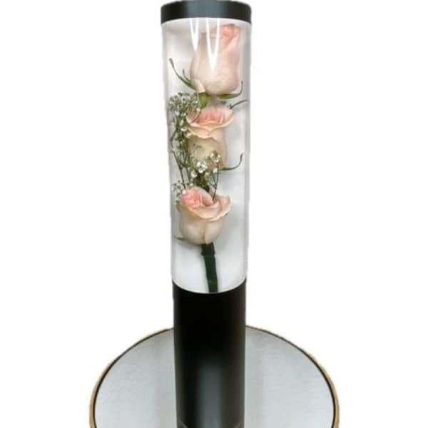 Single pale pink rose in a clear tube with a black cap