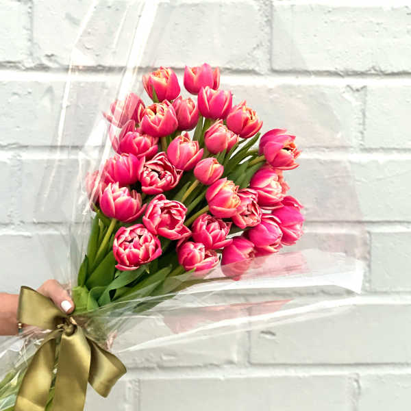 Bouquet of pink tulips wrapped in clear plastic with a gold ribbon