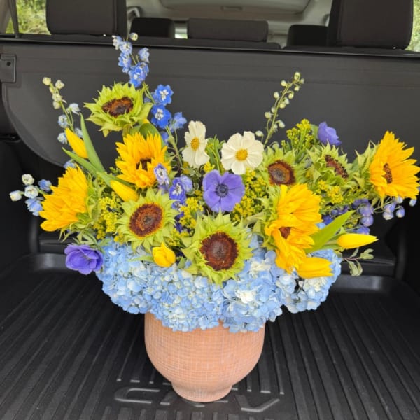 Alba Sun