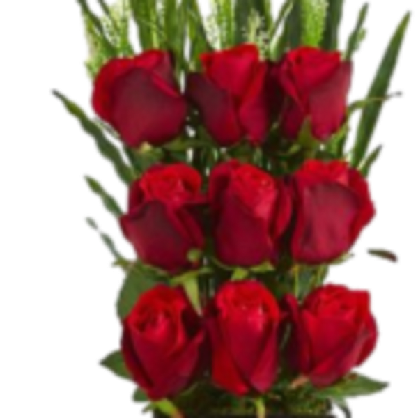 Bouquet of red roses with green foliage