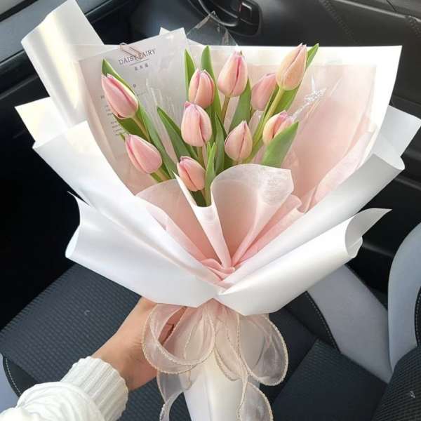 Tulielle Tulips