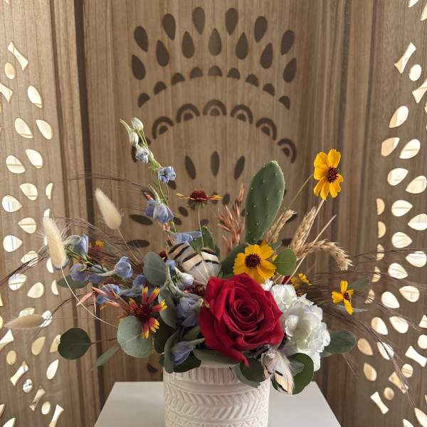 Desert Dreamcatcher