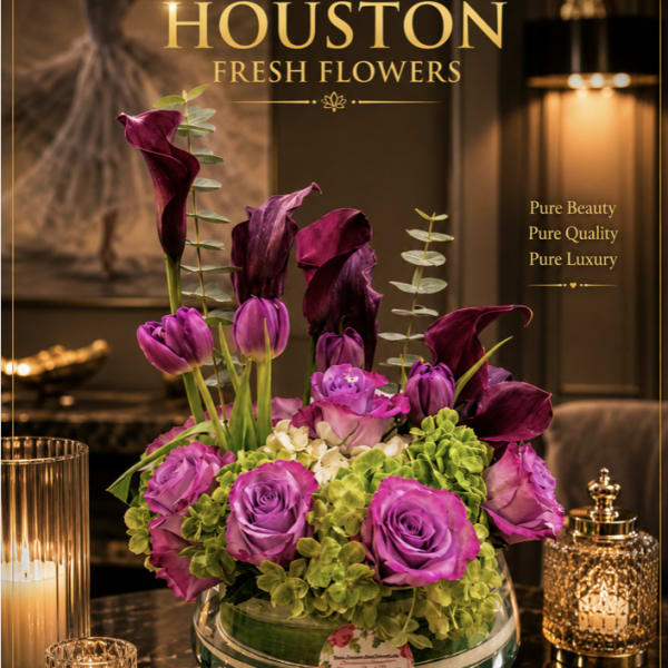 Moon NEW