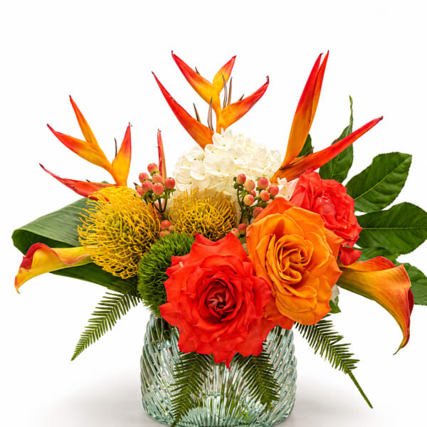 Island Sunrise (V Signature™)