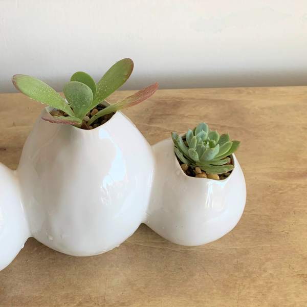 Three small succulents in white egg-shaped ceramic planters