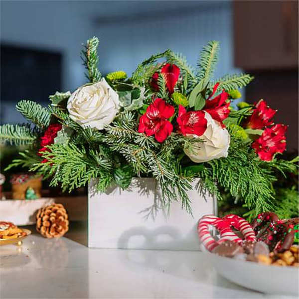 Red and white flowers in a white box with evergreen branches