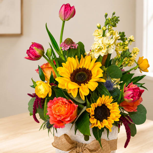 Butterscotch