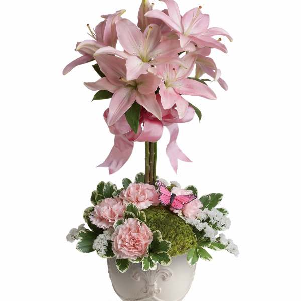 Blushing Lilies