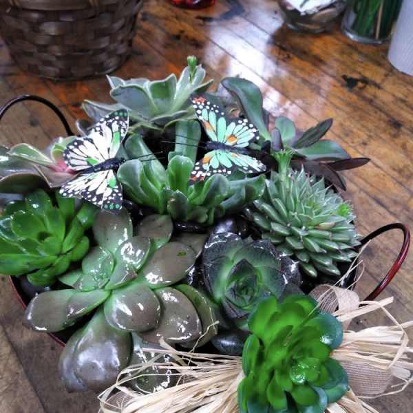 Succulent arrangement in a basket with decorative butterflies