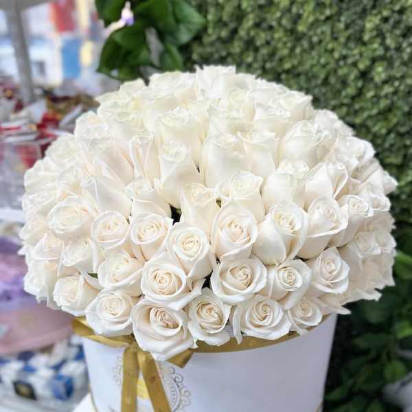 Large round hatbox of tightly packed white roses with a gold ribbon around the box
